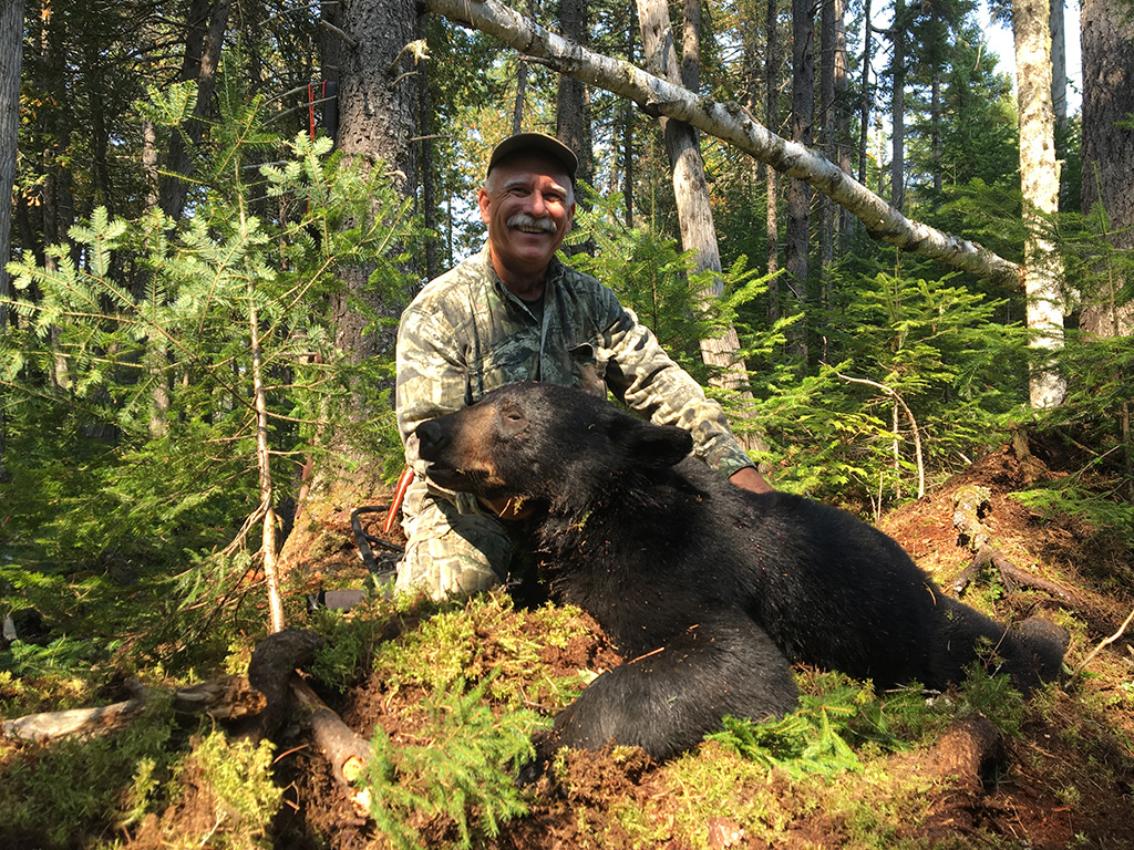 Maine Bear Hunting Bear Hunting In Maine Maine Bear Guides Maine Bear