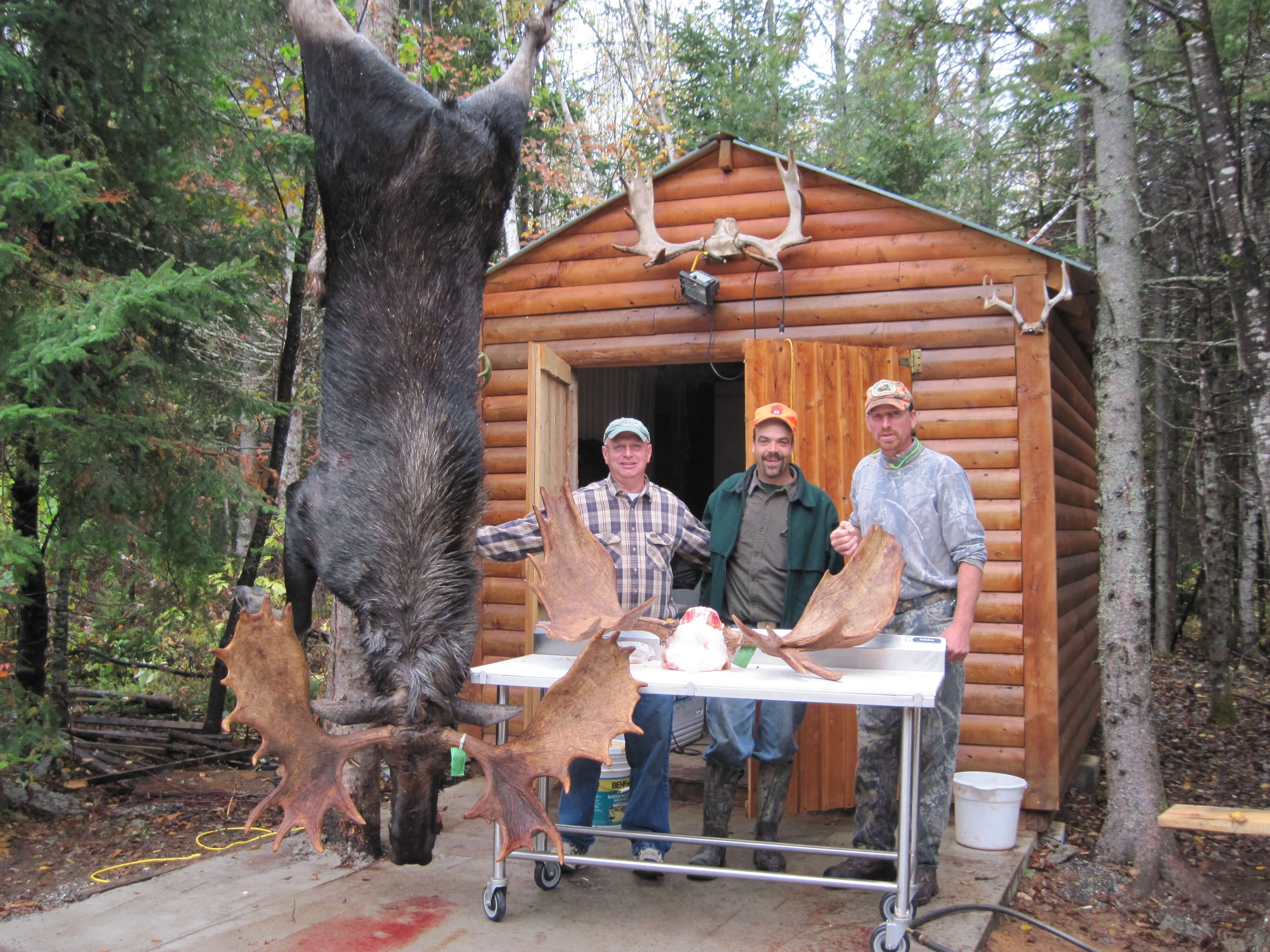 Maine Moose Hunting Blackwater Outfitters