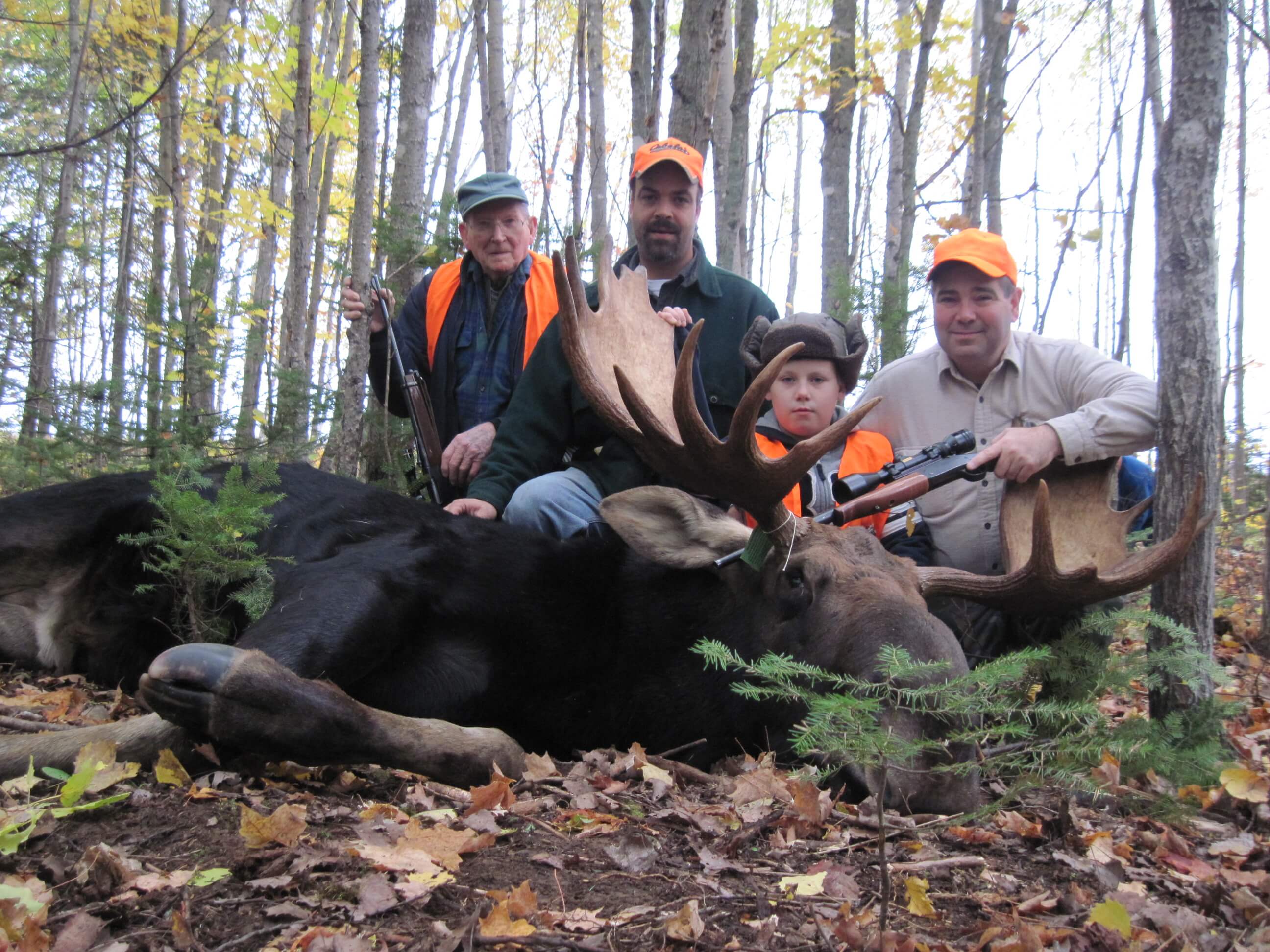 moose-hunt-gallery-1