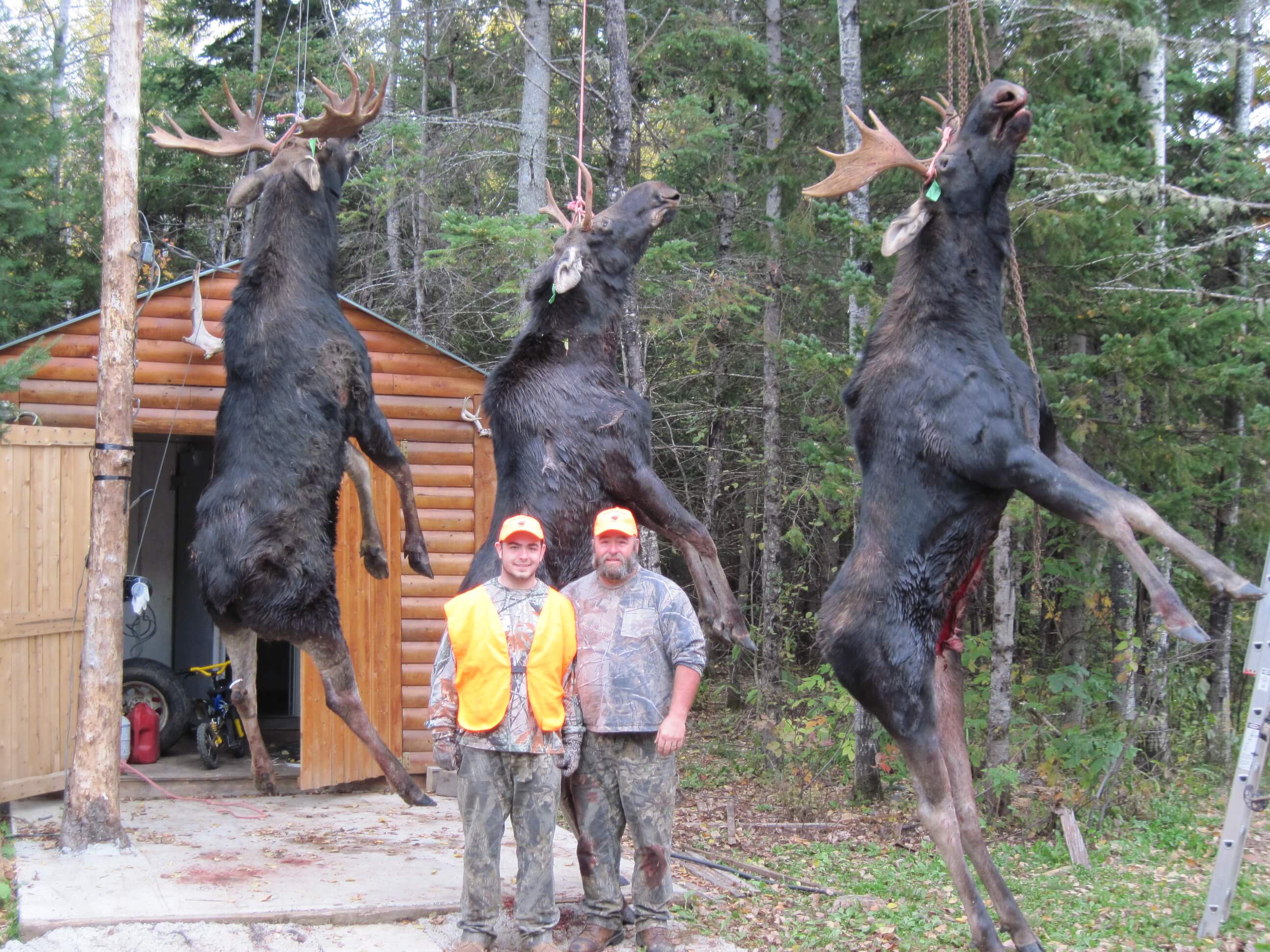 moose-hunt-gallery-8